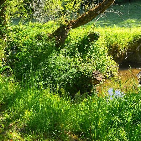 Le Domaine Du Pont Canon Plourivo Εξωτερικό φωτογραφία